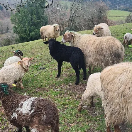 Nyaraló Astorkigoikoa Berreno